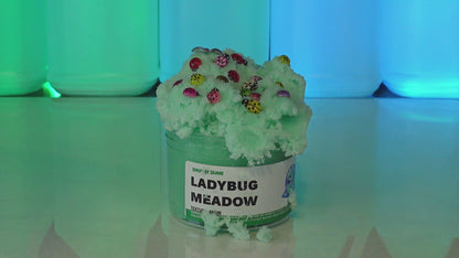 Ladybug Meadow Slime